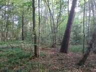 Vente Terrain 3 306 m&sup2; — photo 3