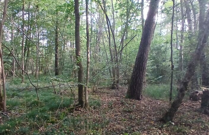 Vente Terrain 3 306 m&sup2; — photo 3