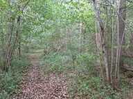 Vente Terrain 3 306 m&sup2; — photo 4