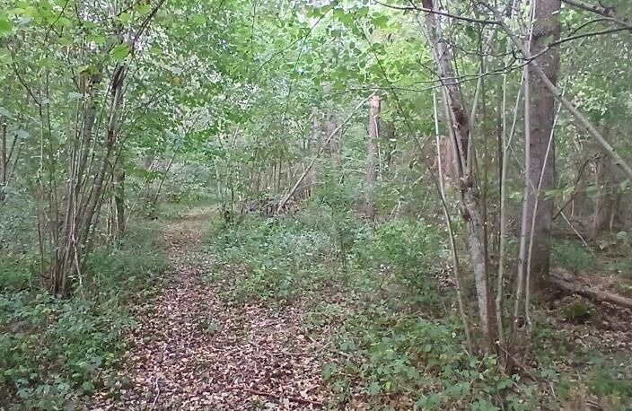 Vente Terrain 3 306 m&sup2; — photo 4