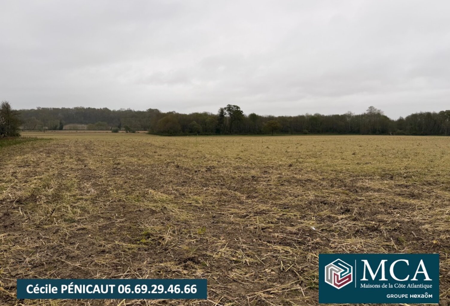 Terrain à bâtir à Mimbaste (40350) — photo 1