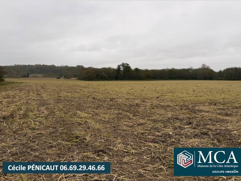 Terrain à bâtir à Mimbaste (40350) — photo 1