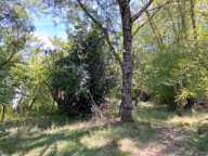 Propriete à vendre 4 pièces Proche de CERISIERS (89) — photo 2