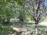 Propriete à vendre 4 pièces Proche de CERISIERS (89) — photo 3