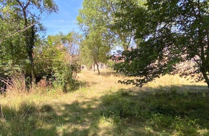 Propriete à vendre 4 pièces Proche de CERISIERS (89) — photo 3
