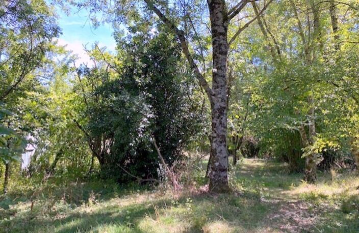 Propriete à vendre 4 pièces Proche de CERISIERS (89) — photo 4