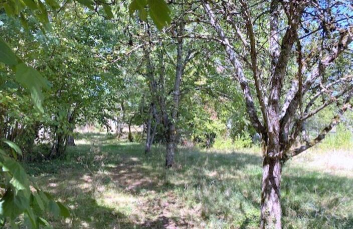 Propriete à vendre 4 pièces Proche de CERISIERS (89) — photo 5