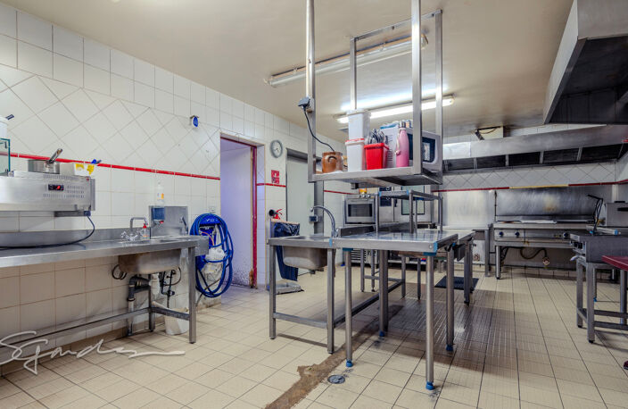 Dpt Pyrénées Atlantiques (64), à vendre proche de NAY Restaurant du midi — photo 2