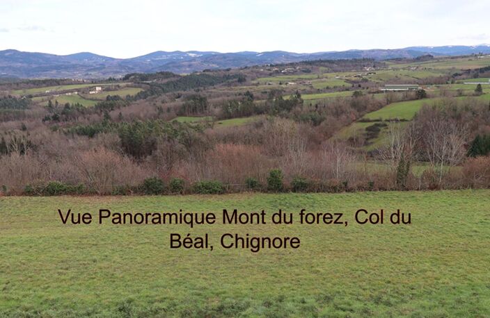 Maison Sauviat 5 pièce(s) 90 m2 environs + garage  et 7000m2 de terrain dont 3000 constructibles — photo 2