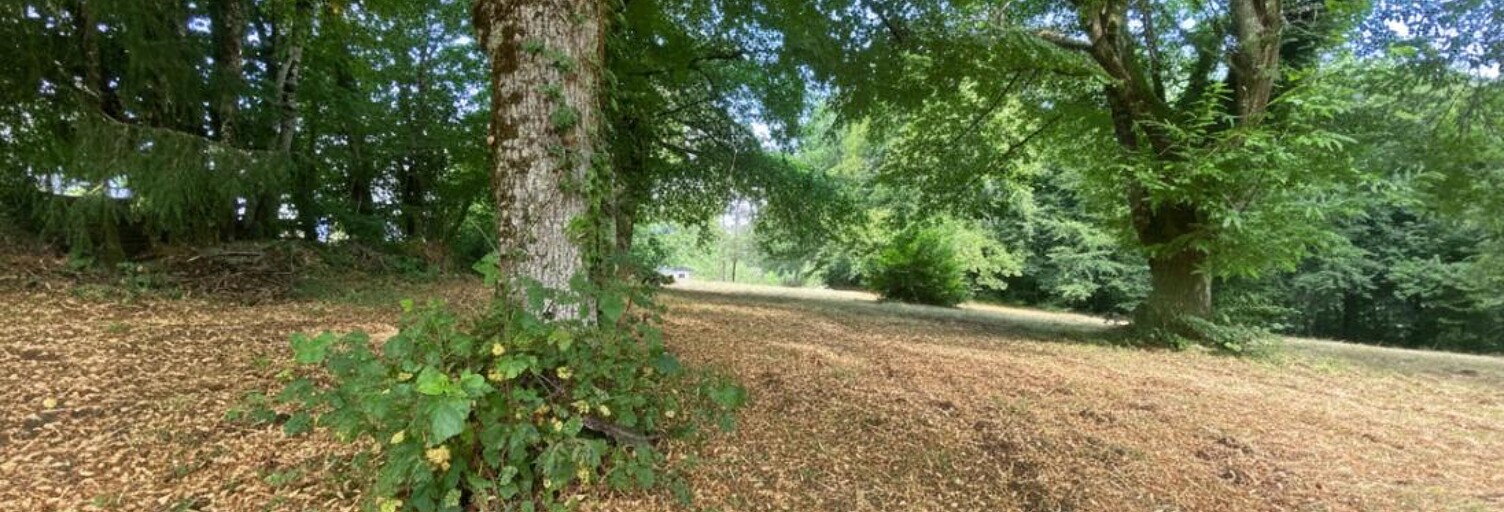 Terrain  3806 m² à vendre à Treignac (19260)