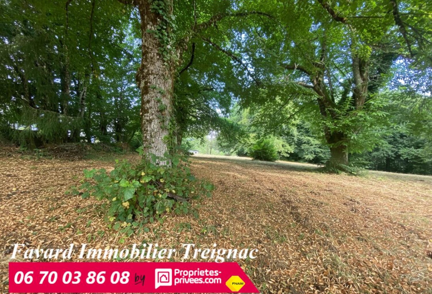 Terrain sur les hauteurs de Treignac 3806 m² — photo 1