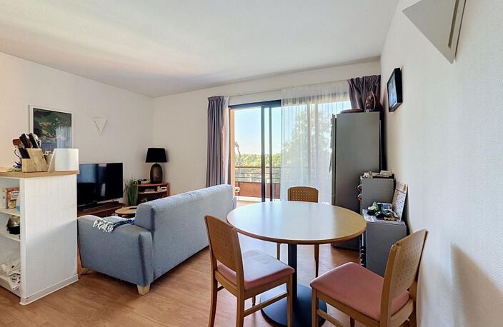 Rouffiac Tolosan, VENDU LOUE, Appartement T2 + Investissement locatif — photo 2