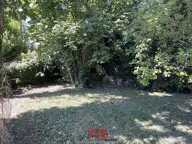 Anse centre Terrain 895m² — photo 4