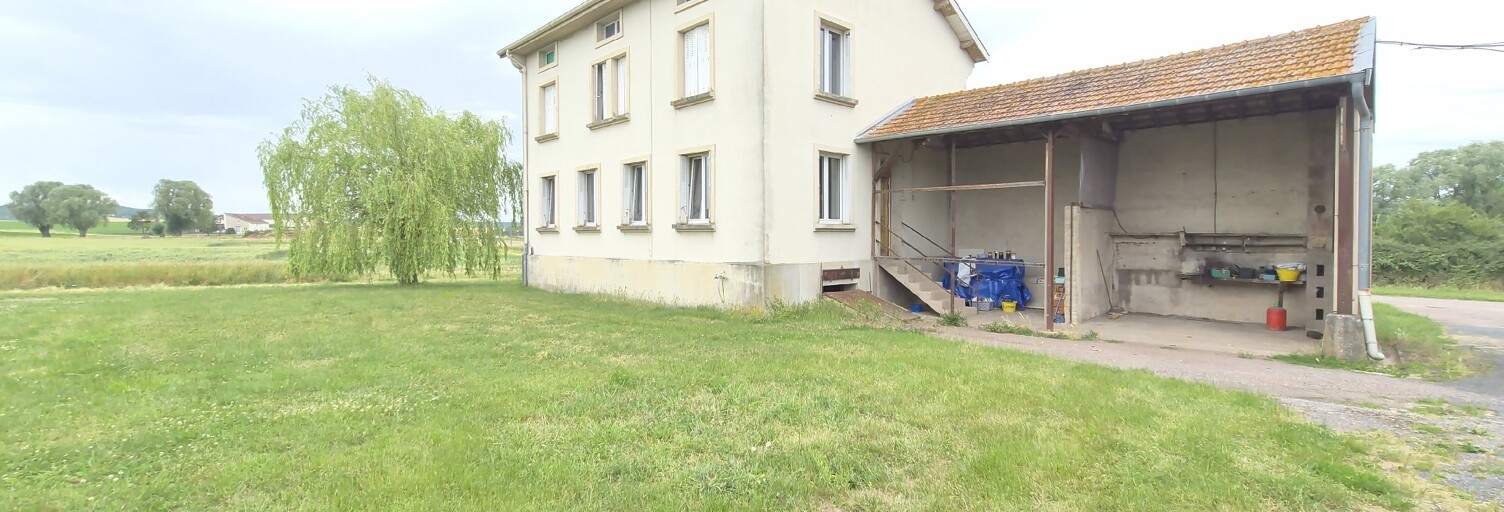 Maison 7 Pièces 180 m² à vendre à Château-Salins (57170)