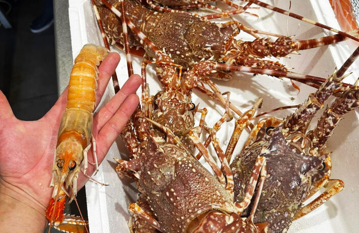Rare opportunité   Fonds de commerce de poissonnerie histor — photo 2