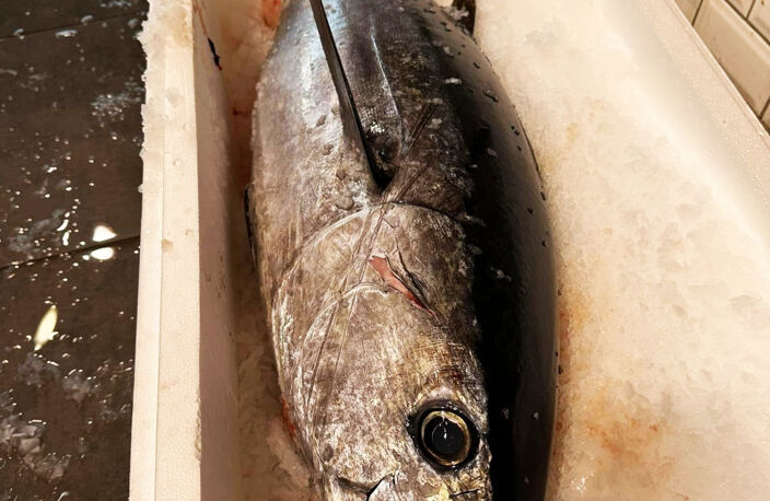 Rare opportunité   Fonds de commerce de poissonnerie histor — photo 5