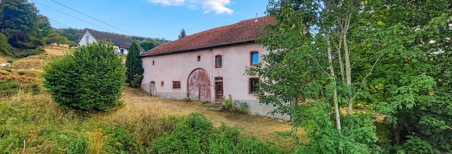Maison 5 Pièces 165 m² à vendre à La Croix-aux-Mines (88520)