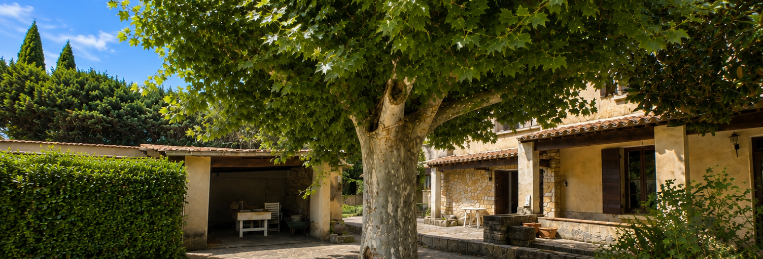 Maison 5 Pièces 185 m² à vendre à Boulbon (13150)