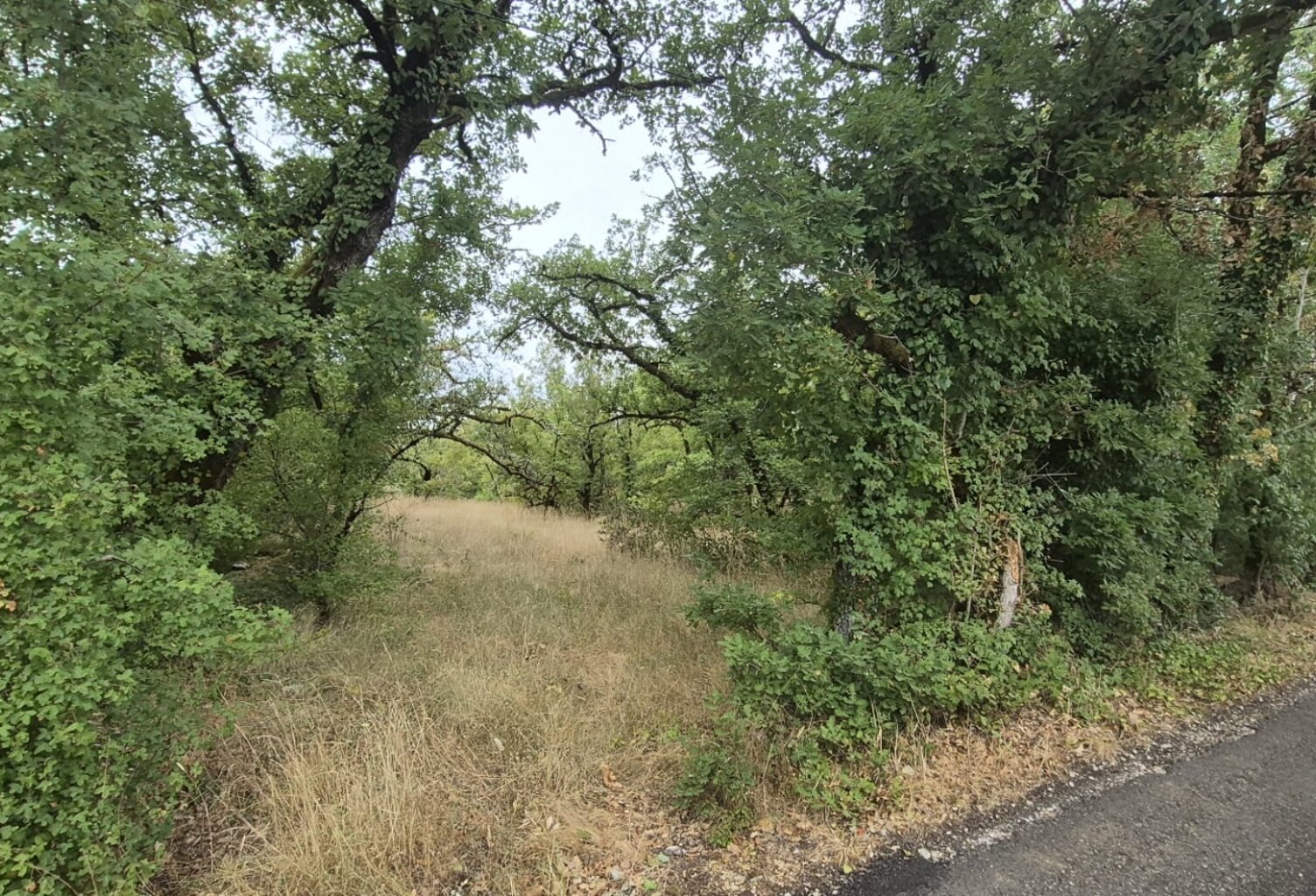 Vente Terrain à bâtir 2 640 m&sup2; — photo 1