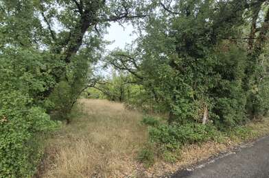 Terrain  35000 €