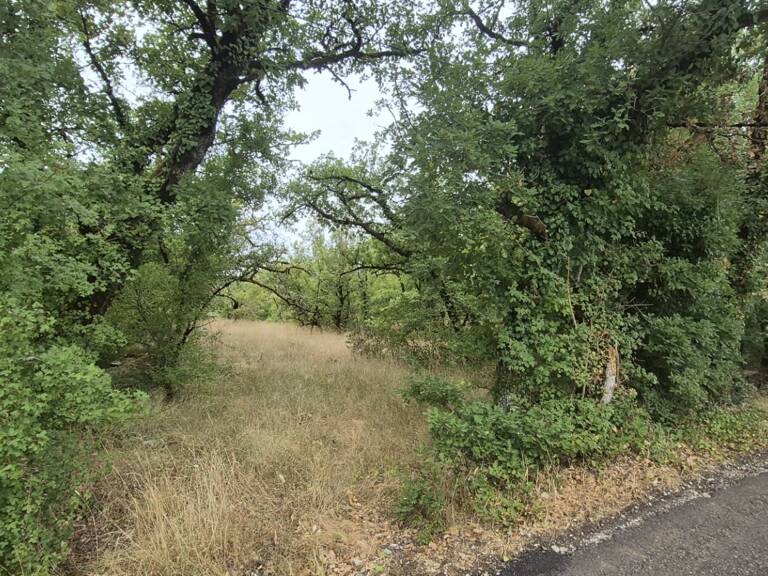 Vente Terrain à bâtir 2 640 m&sup2; — photo 1