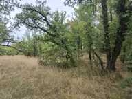 Vente Terrain à bâtir 2 640 m&sup2; — photo 2