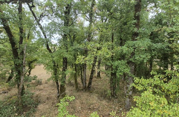 Vente Terrain à bâtir 2 640 m&sup2; — photo 3
