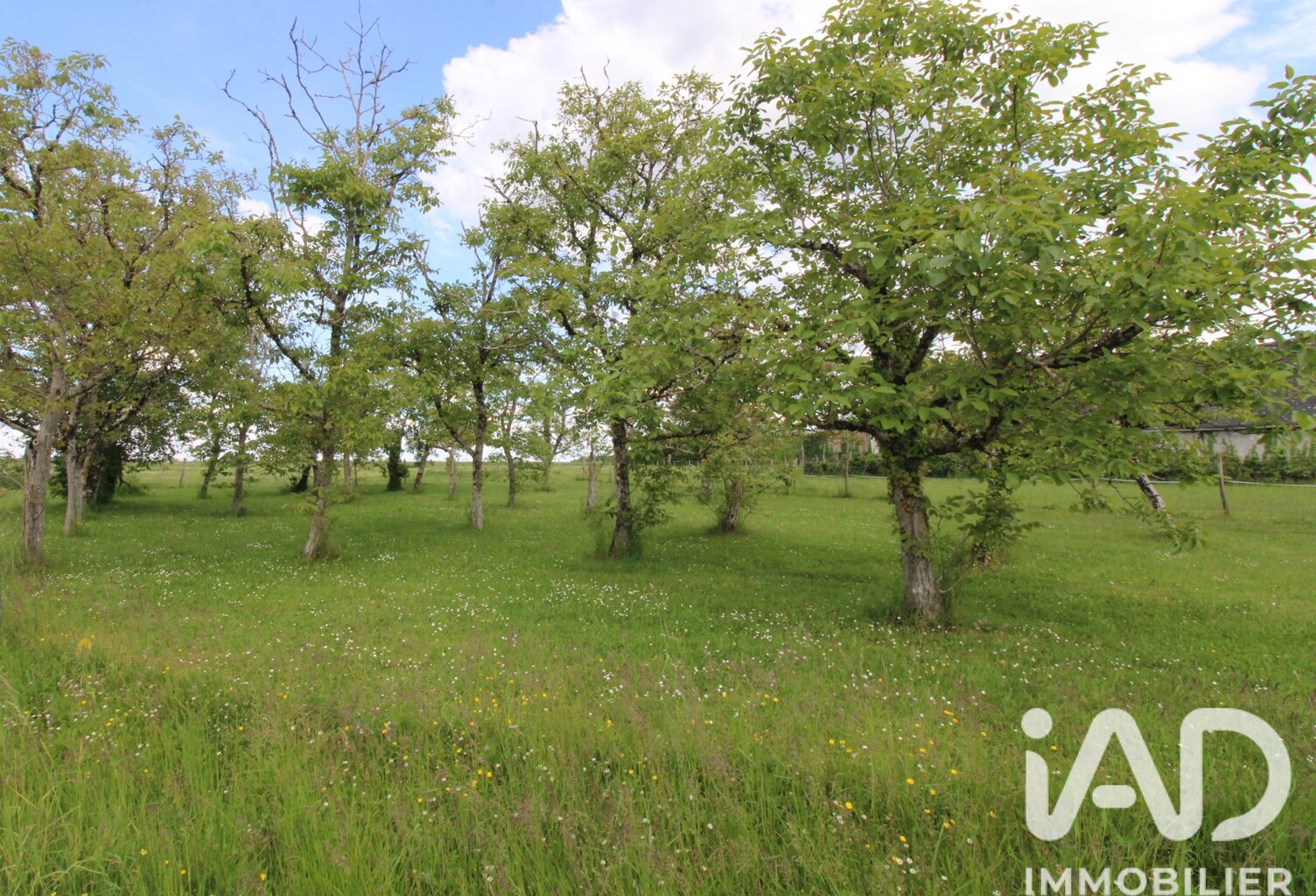 Vente Terrain à bâtir 980 m&sup2; — photo 1