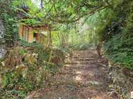 TERRAIN  3700 m² dont 3000 m² constructibles — photo 4