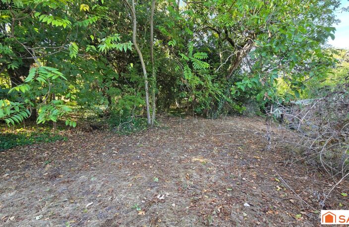 TERRAIN  3700 m² dont 3000 m² constructibles — photo 5