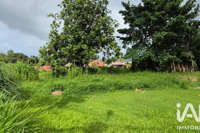 Terrain  85000 €