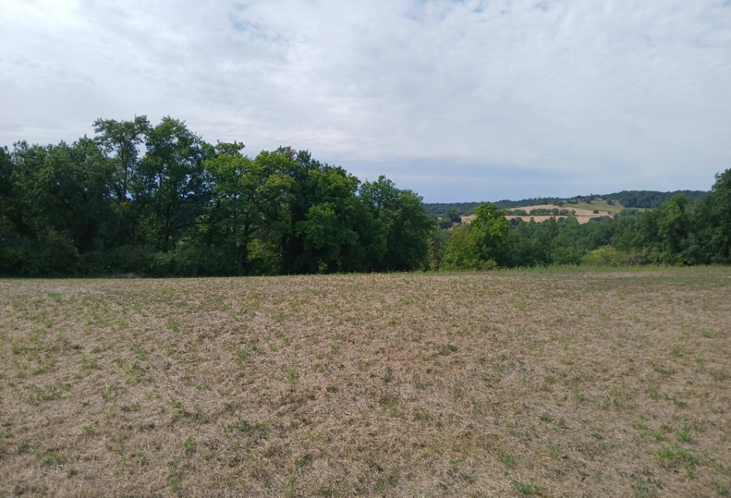 Terrain à bâtir à Saint-Martin-de-Ribérac (24600) — photo 1
