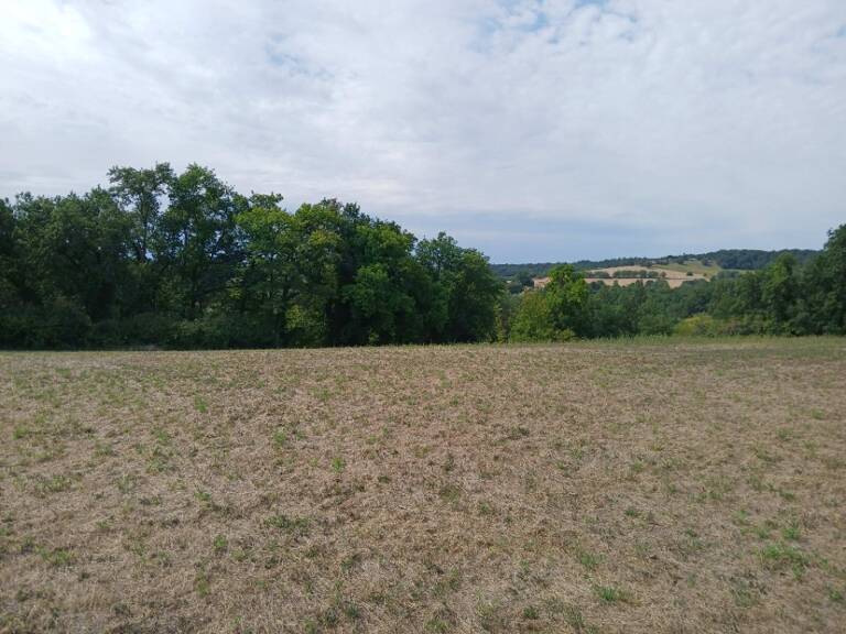 Terrain à bâtir à Saint-Martin-de-Ribérac (24600) — photo 1