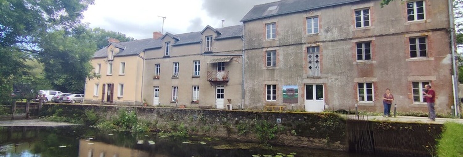 Maison 10 Pièces 450 m² à vendre à Peillac (56220)