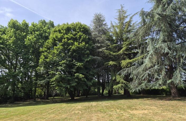 À vendre, proche de Trie-sur-Baïse (Hautes Pyrénées): Villa 5 chambres avec sous-sol, garage et piscine, nichée au cœur d'un jardin paysager de 8 531m² – emplacement calme à quelques pas du centre-ville — photo 5