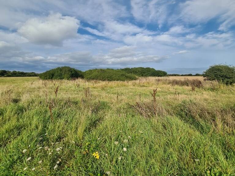Terrain à vendre  CROZON (29) — photo 1
