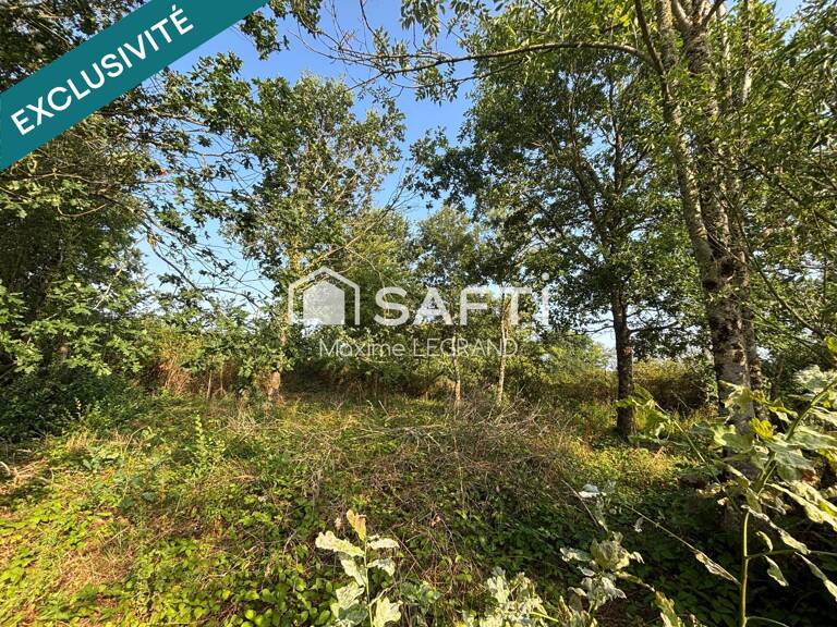 Jolie terrain de loisir arboré et viabilisé. — photo 1