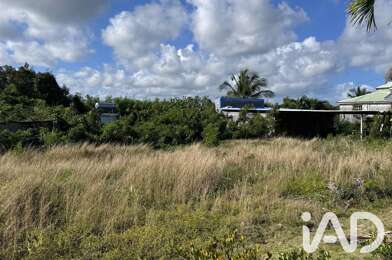 Terrain  250000 €