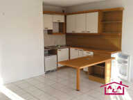 GRAND STUDIO AVEC BALCON — photo 2