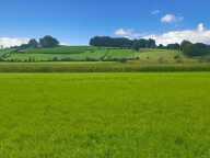 Terrain constructible 11000 m2 — photo 2