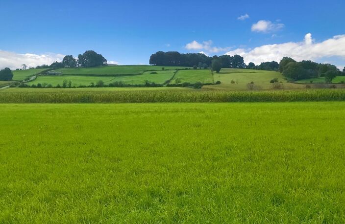 Terrain constructible 11000 m2 — photo 2