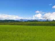 Terrain constructible 11000 m2 — photo 3