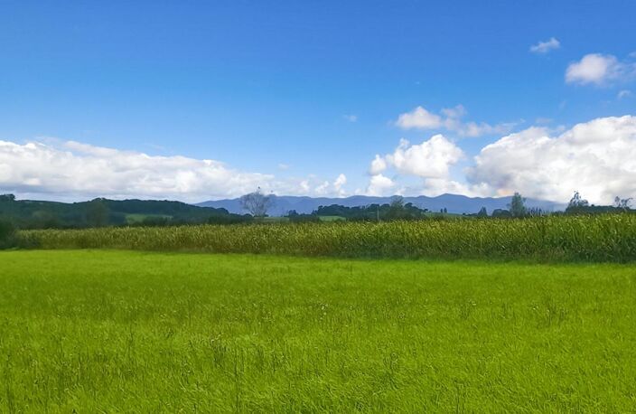Terrain constructible 11000 m2 — photo 3