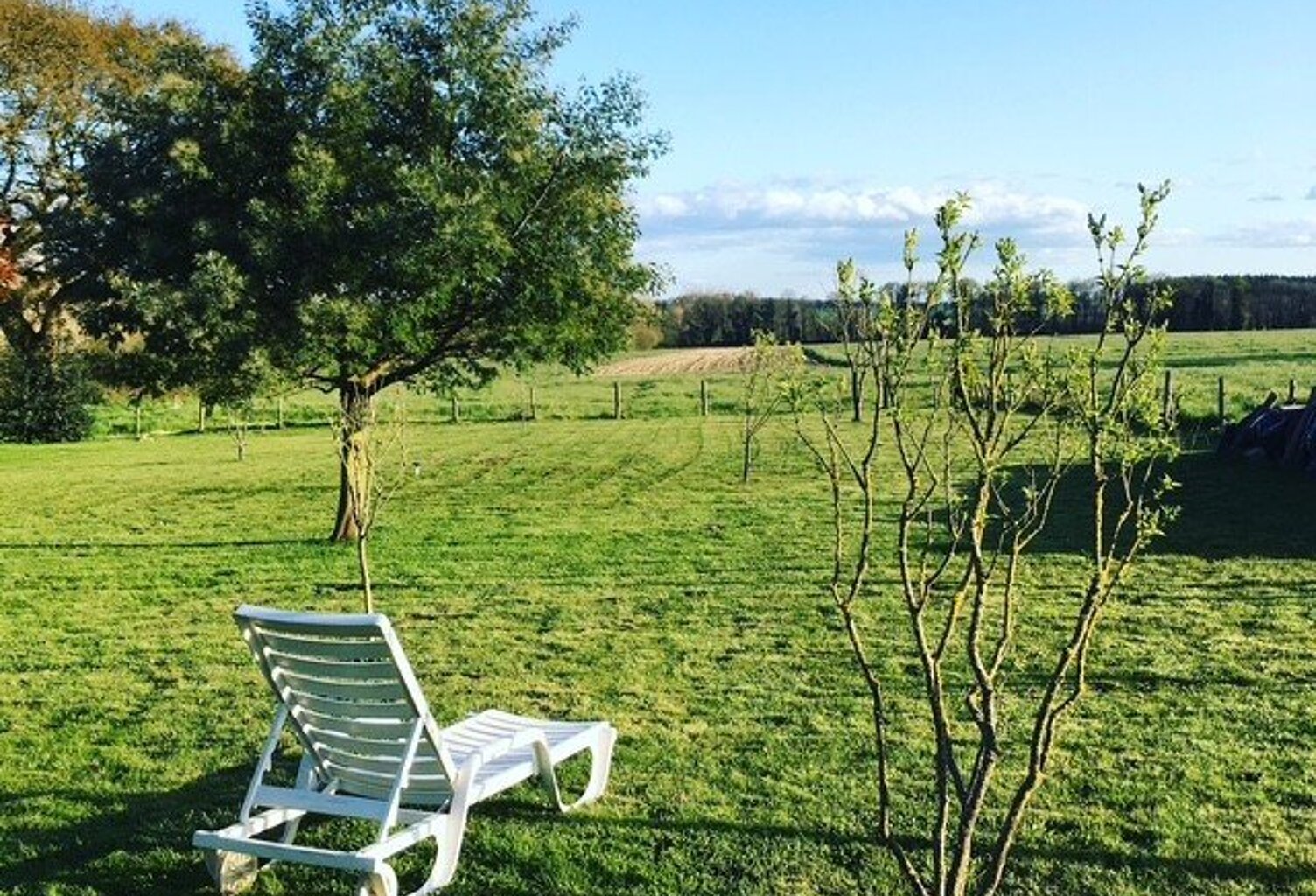 Terrain — photo 1