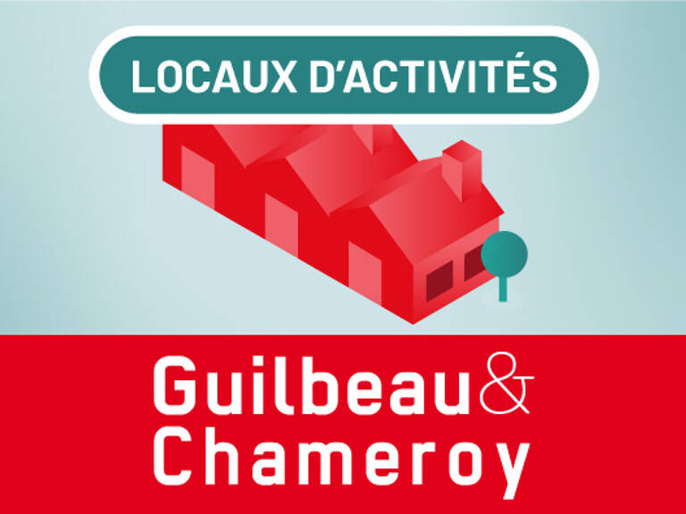LOCAL D'ACTIVITE/ENTREPOT A LOUER PROCHE ANGERS — photo 1