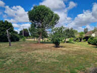 Pavillon proche centre ville avec beau terrain — photo 3