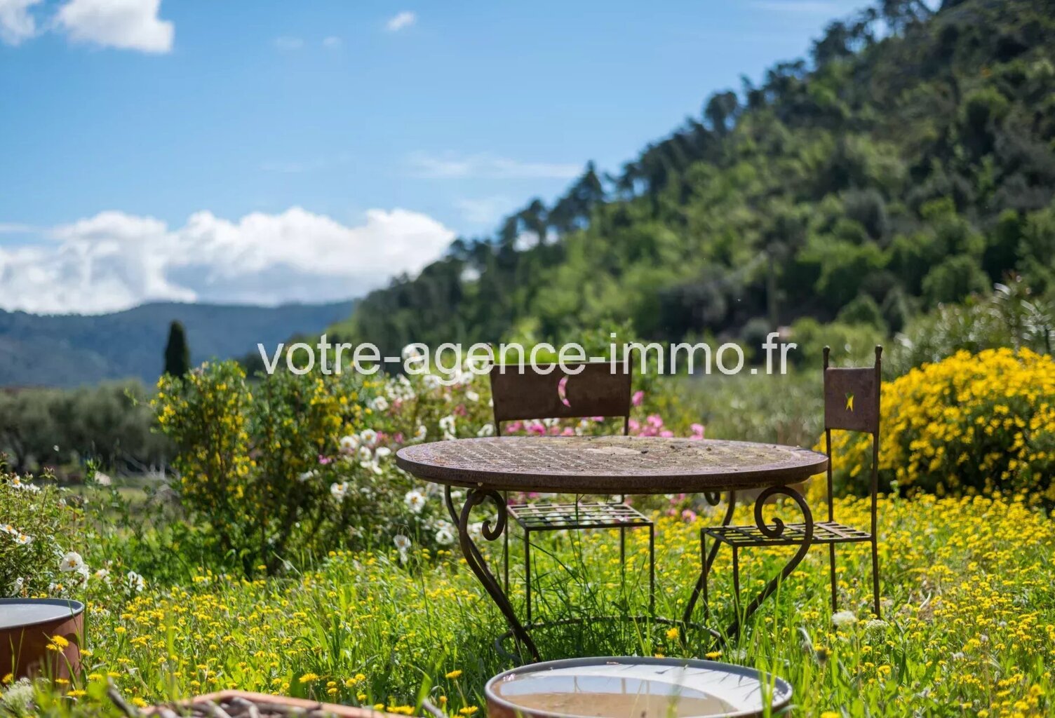 Aspremont grande maison avec jardin au calme — photo 1
