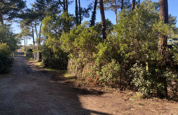 Vue BASSIN, Villa à rénover sur vaste jardin arboré — photo 2