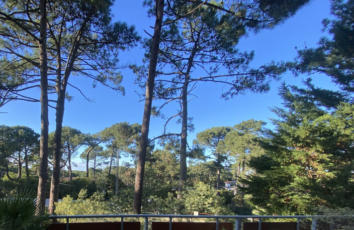Vue BASSIN, Villa à rénover sur vaste jardin arboré — photo 4