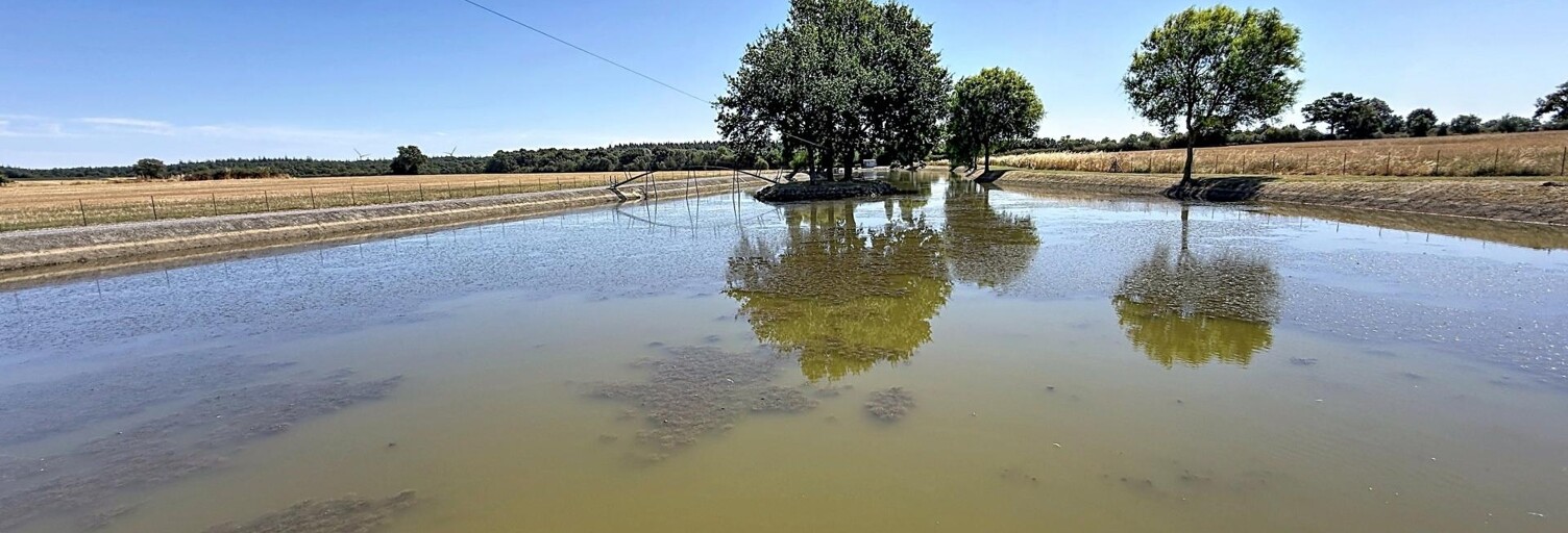 Terrain  16000 m² à vendre à Châteaubriant (44110)